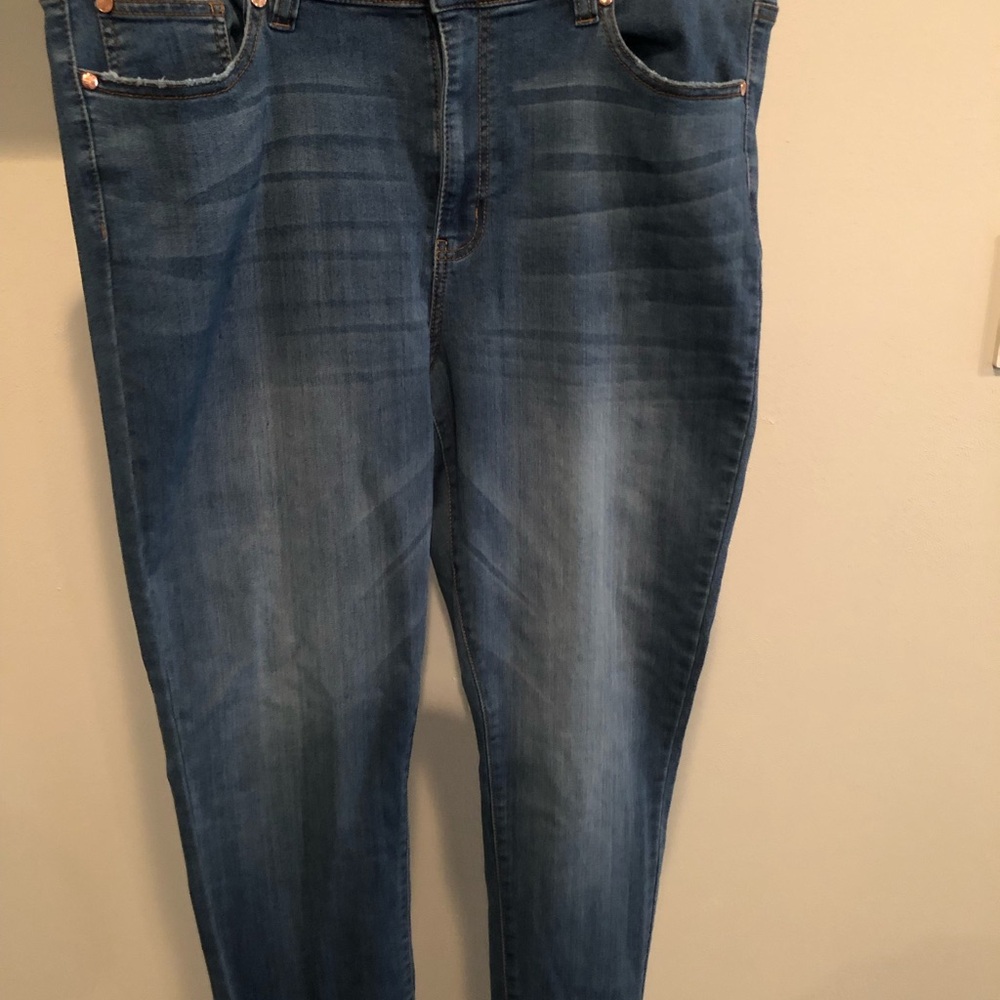 Revelry Plus Mid-Rise Skinny Jeans